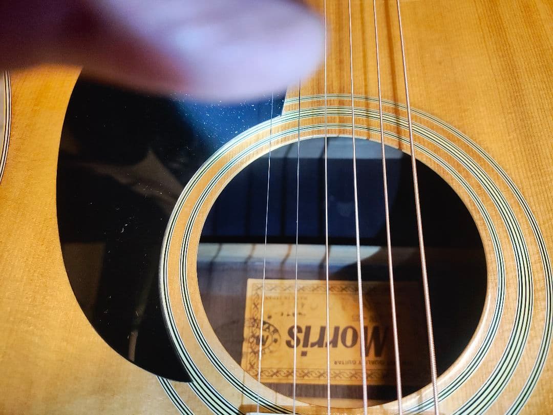 Morris アコースティックギターW25