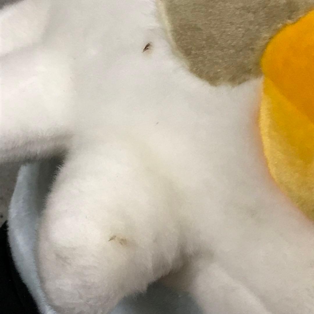 ビルス