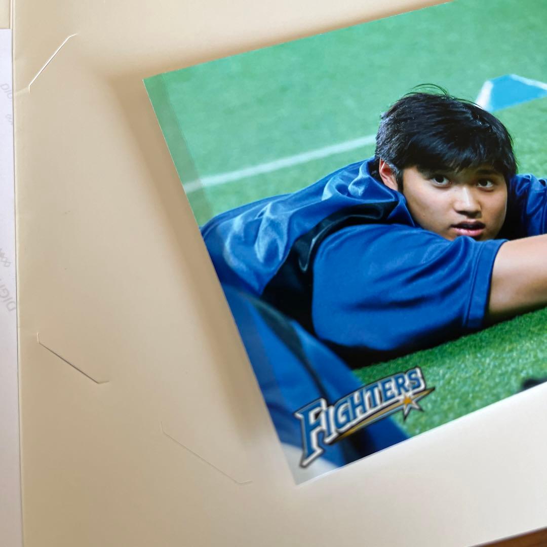 大谷翔平選手日本ハムファイターズ公式写真3枚TODAY'S HIGHLIGHT①