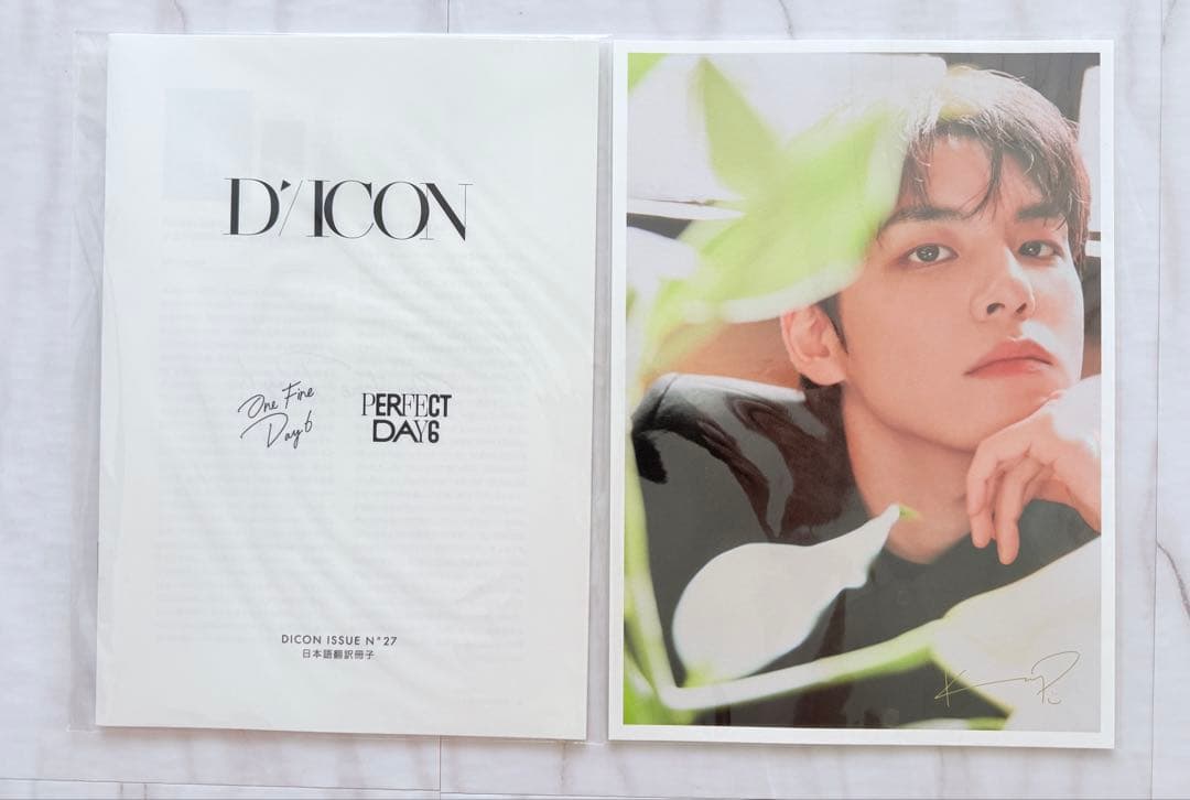 DICON DAYG WONPILウォンピルBタイプ日本語翻訳冊子付き外箱あり