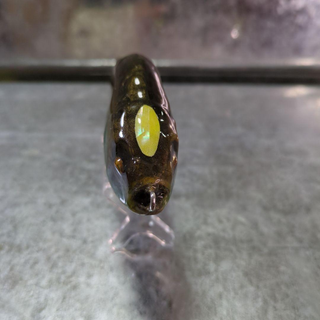 激レア　魚皮貼り　サルモスライダー　ブルーギル皮貼り　超リアル