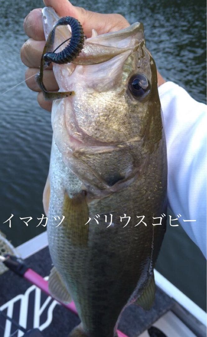 バス釣り　ワームセット　イマカツ　ジークラック　ベイトブレス