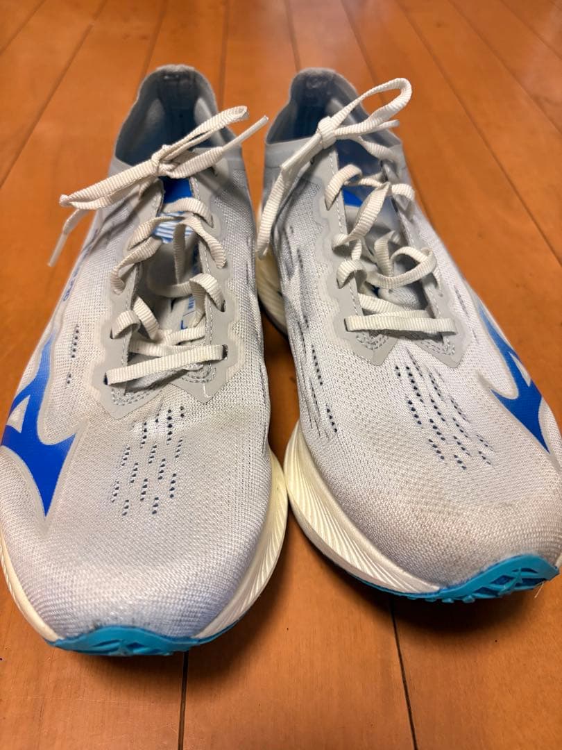 Mizuno Wave Rebellion Pro ナチュラル　26.0