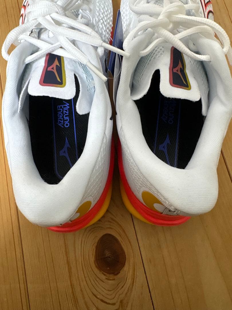 Mizuno テニスシューズ ウエーブエクシード TOUR 6 AC ミズノ