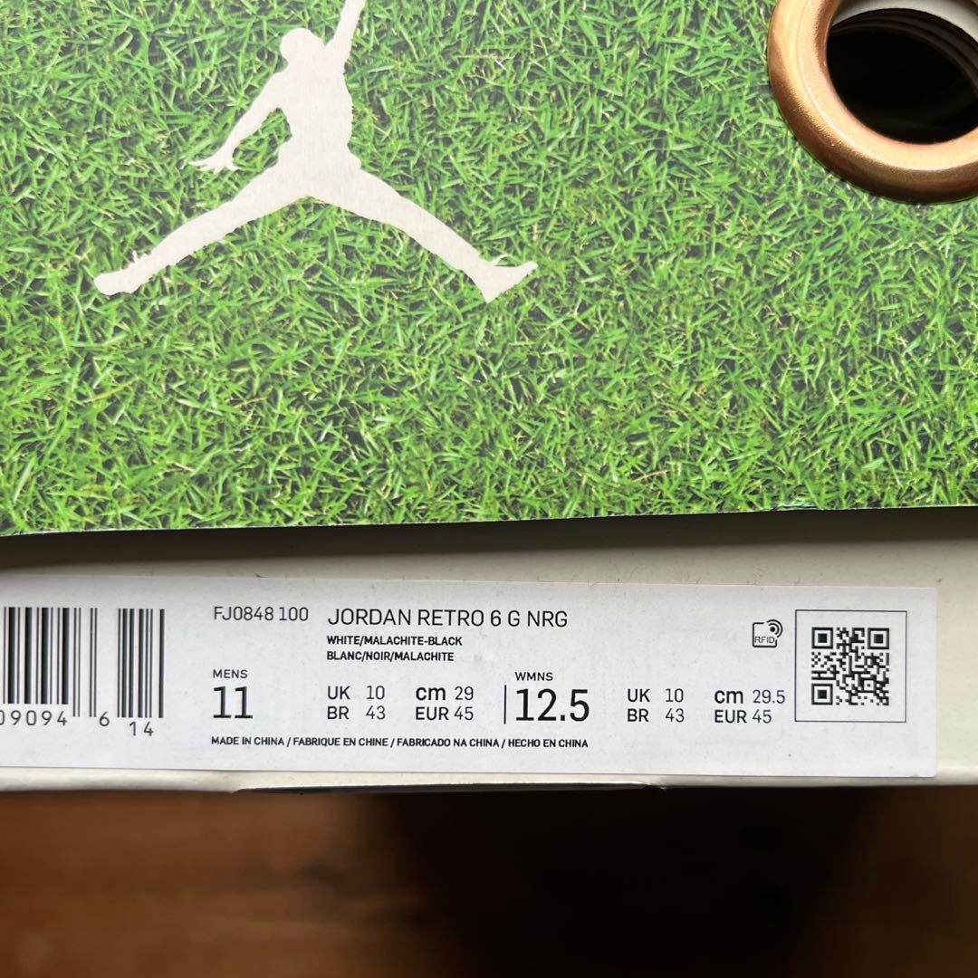 未使用新品Eastside Golf × AIR JORDAN 6 29㎝