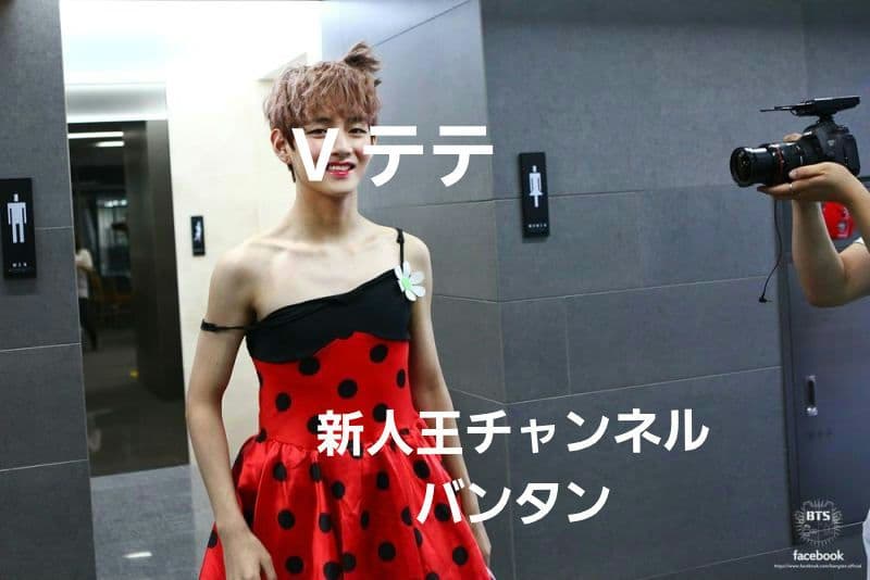 BTS 防弾少年団 V テテ キムテヒョン ぬいぐるみ マスター