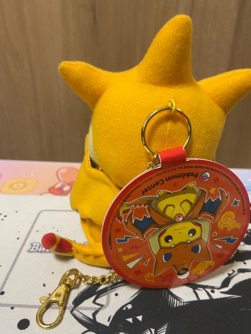 メガリザードンYのポンチョを着たピカチュウ　ポケモンセンター限定