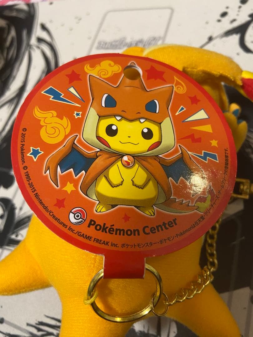 メガリザードンYのポンチョを着たピカチュウ　ポケモンセンター限定