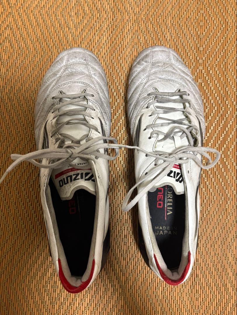 Mizuno Morelia NEO4 《28.5cm》