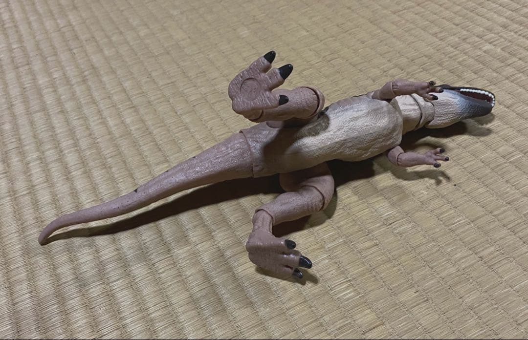 ハモンドコレクション　メトリアカントサウルス　日本未販売