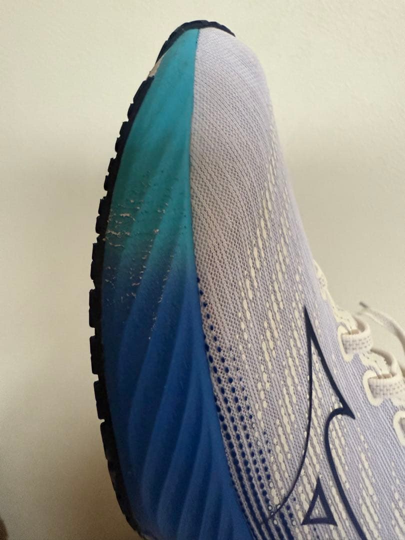 【極美品】MIZUNO WAVE RIDER 28 27.0cm