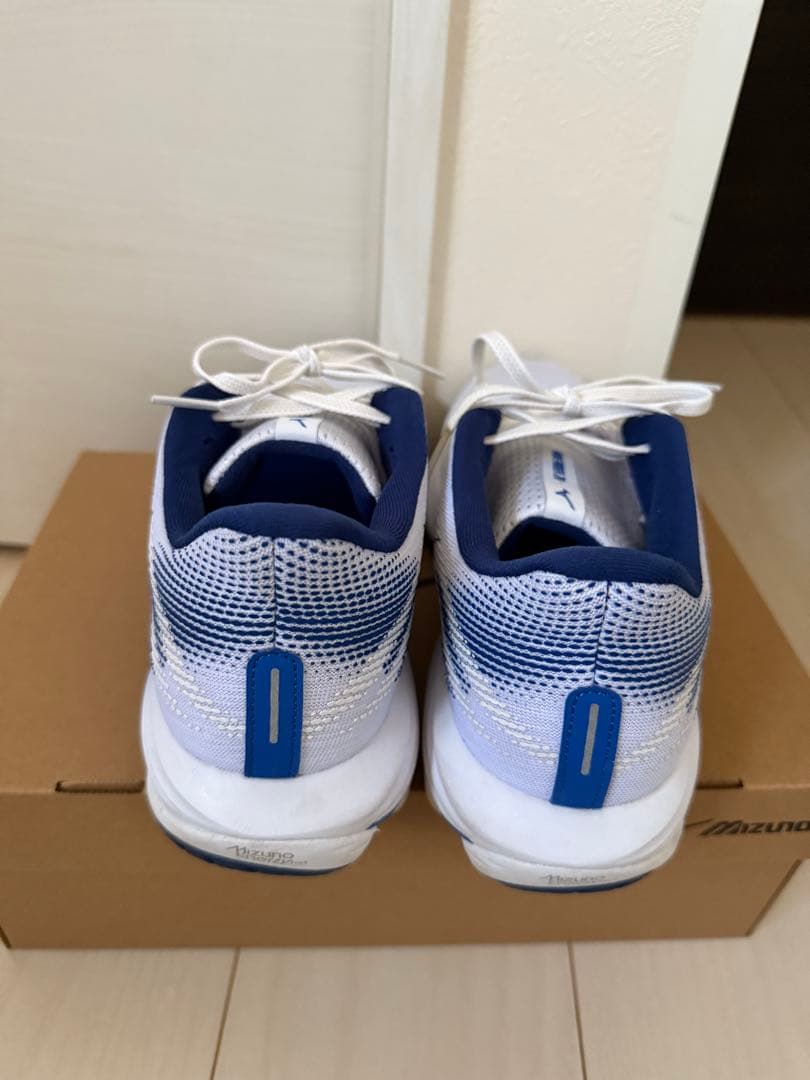 【極美品】MIZUNO WAVE RIDER 28 27.0cm