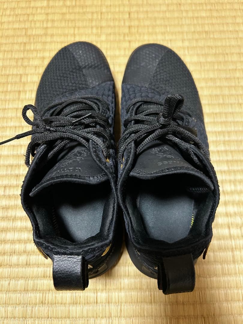 Nike レブロンウィットネス3 ブラック/ゴールド