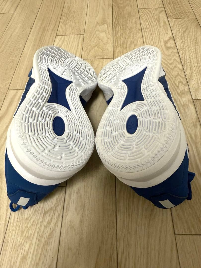Nike サブリナ3 EP 29cm バスケ シューズ ロイヤル ブルー 美品