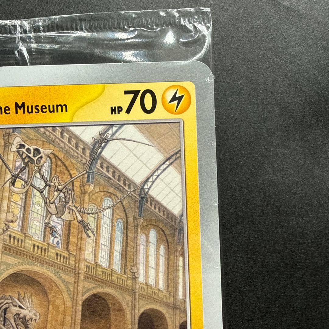 イギリス　ロンドン　自然史博物館ピカチュウ　プロモカード　検品済み品⑤