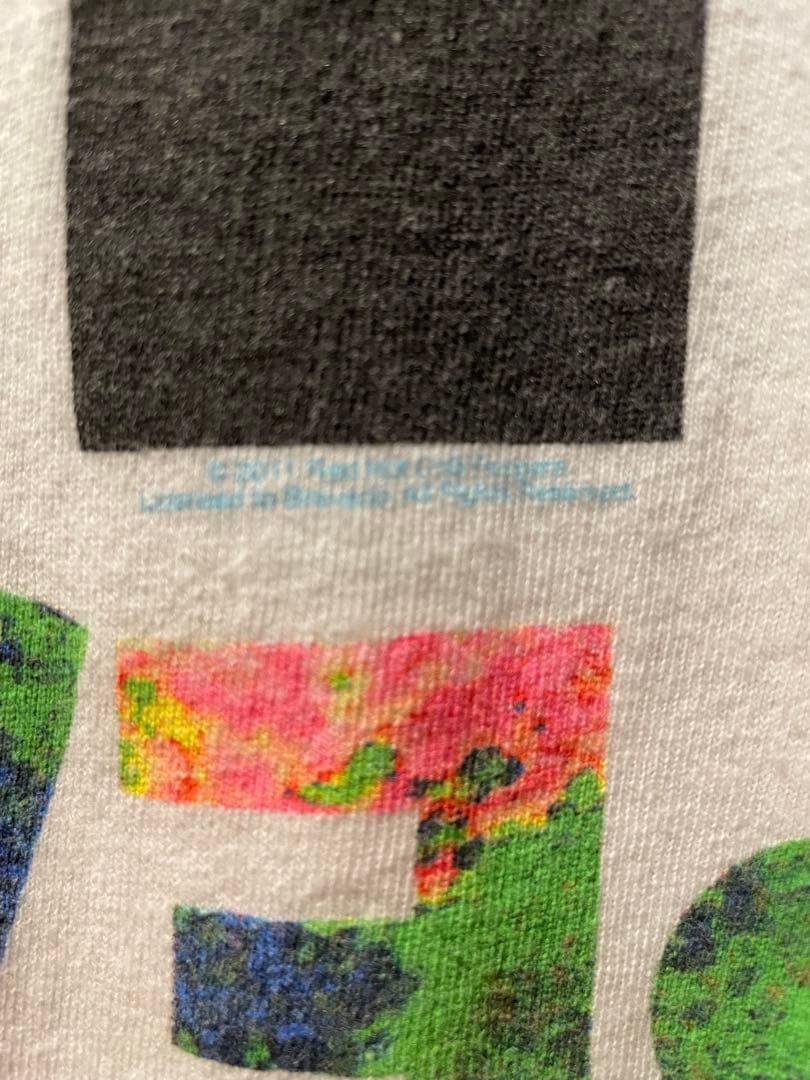 美品 L レッチリ 2011年 Multi Color Asterisk TEE