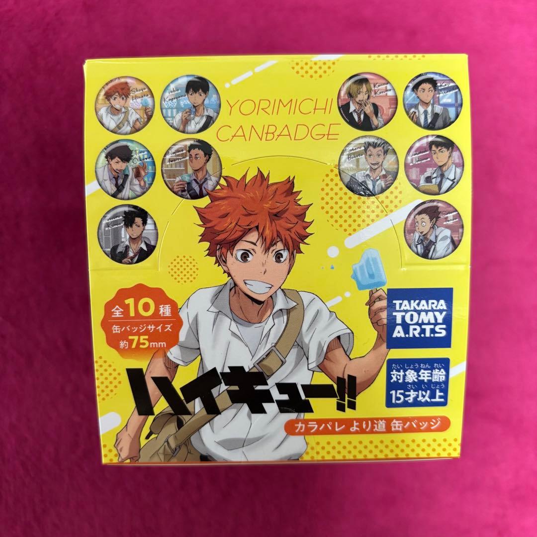 ハイキュー‼︎ カラパレ より道 缶バッジ 10個入り 21ボックス BOXセット