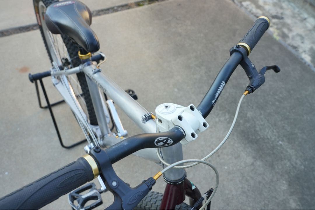 ストラトス　SANTA CRUZ CHAMELEON 26インチ