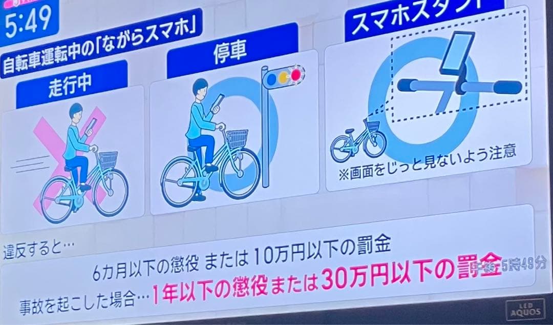 個人、折りたたみ自転車「active style.apple」spdペダル専用車