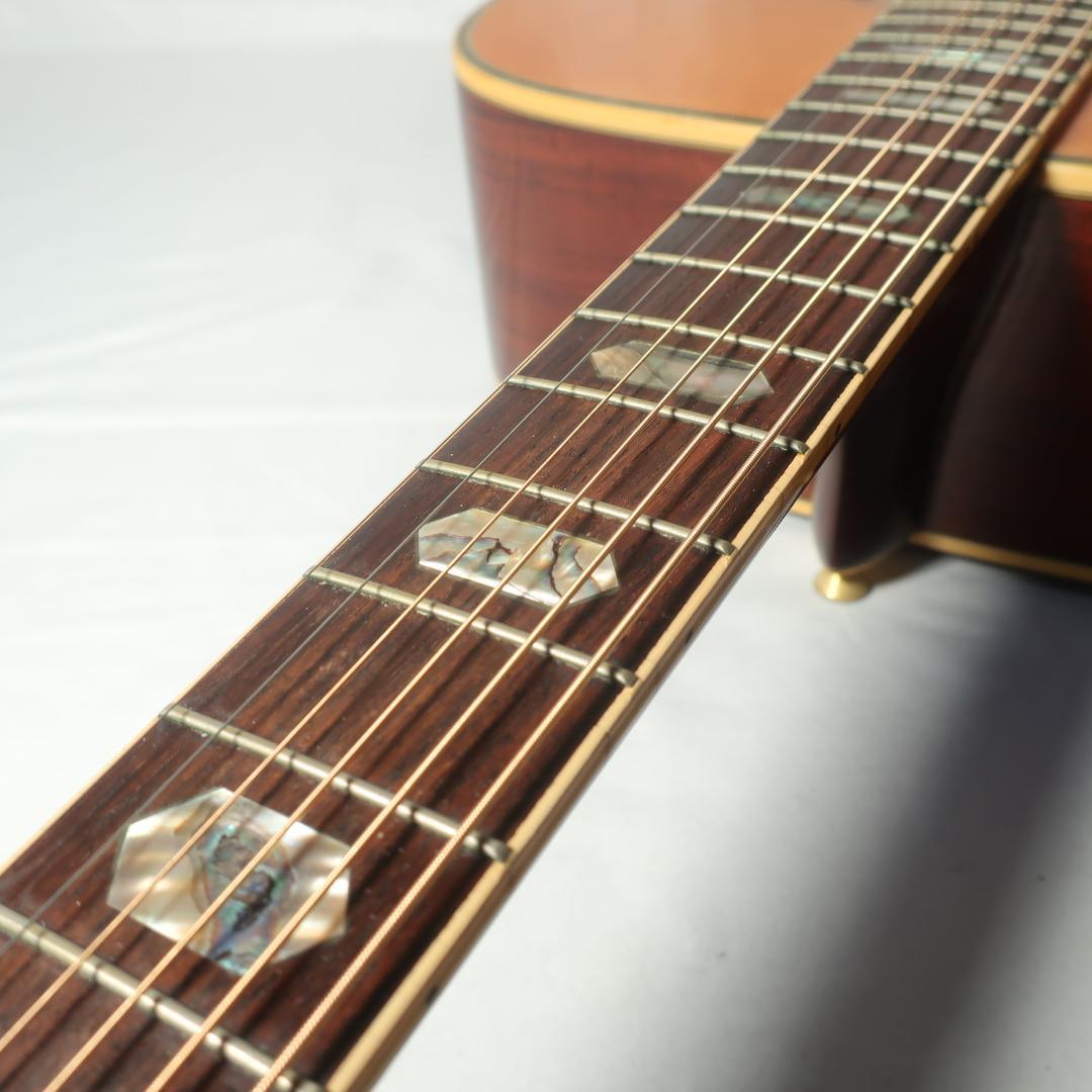 Morris MD-526 ギター ハードケース付 シェルインレイGOTOHペグ