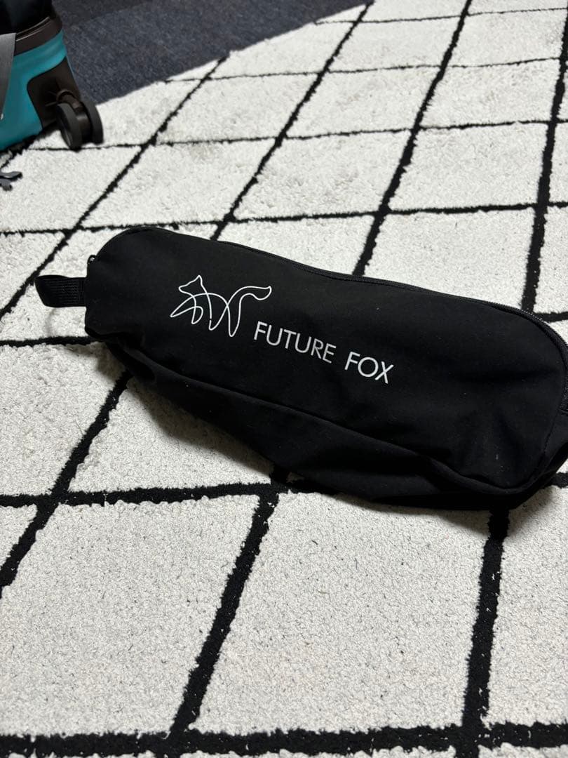 FUTURE FOX UZURA CHAIR うずらチェアー　最終値下げ