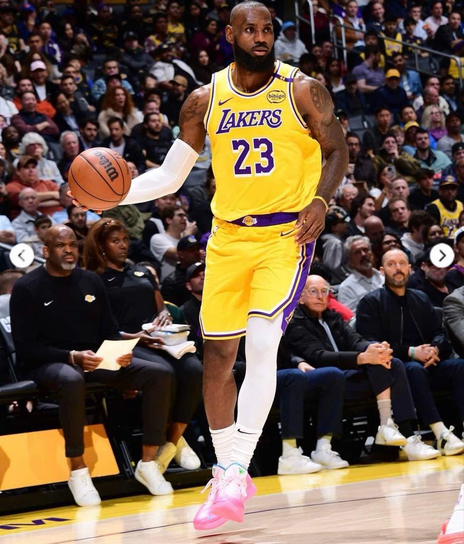 シューズ(男性用) Nike LeBron 22 \"I Promise\"