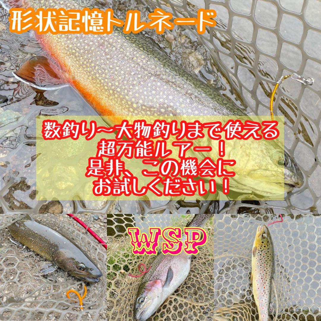 【圧倒的釣果主義】wspトルネード 爆釣ルアー　形状記憶完全ローテーションセット