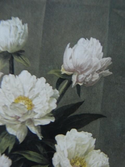 伊勢崎勝人【白い牡丹】希少画集画、状態良好、新品高級額装付