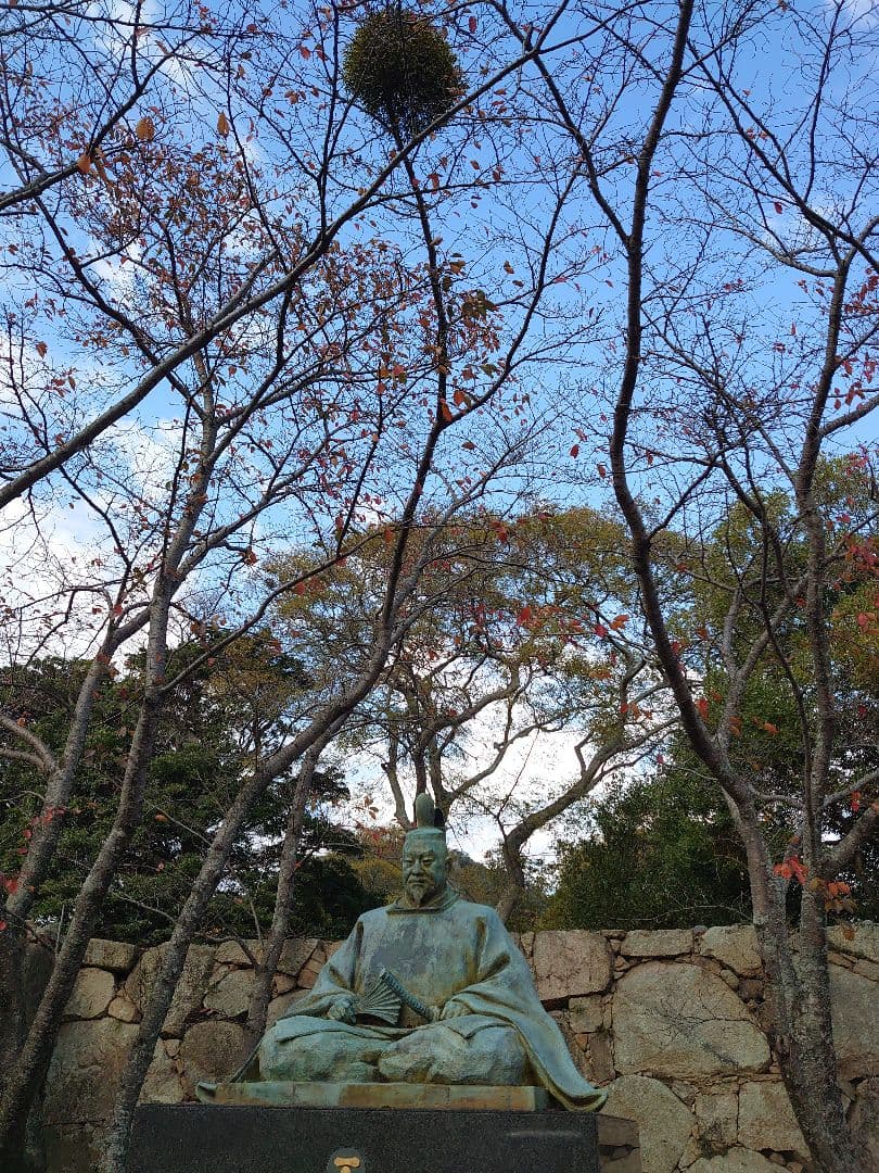 ヤドリギの世界!!参考商品