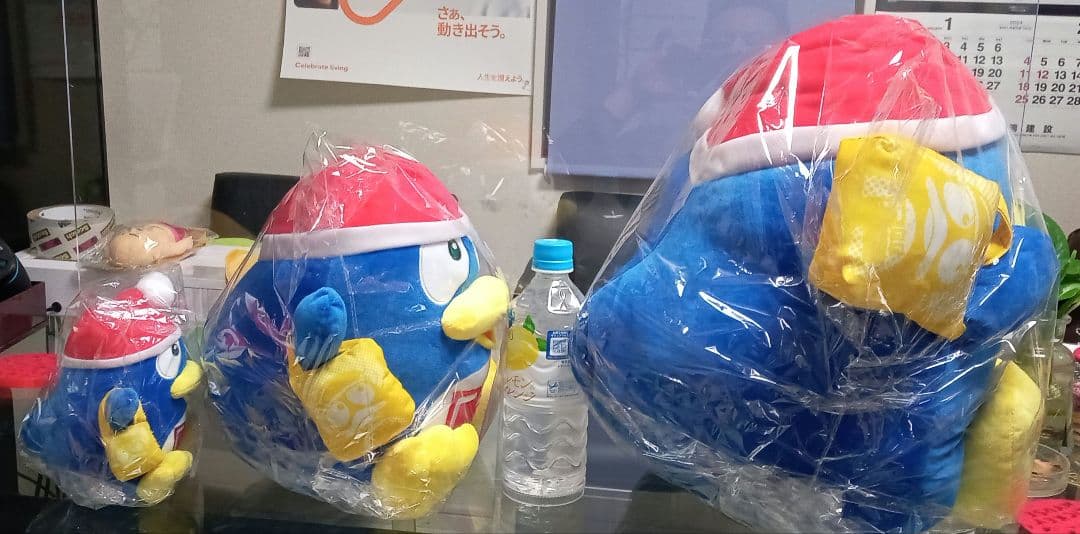 ドンペン ぬいぐるみ S・M・Lサイズの3体セット