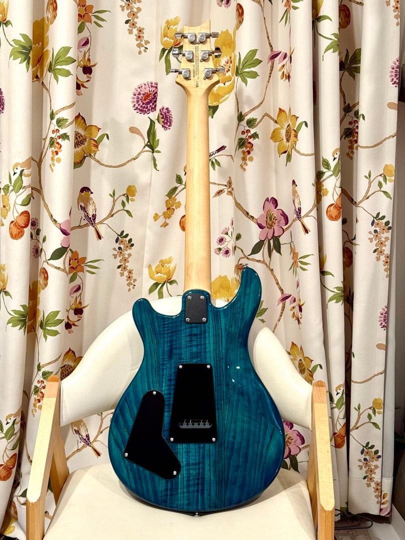 ギター se swamp ash special prs Paul Reed Smith