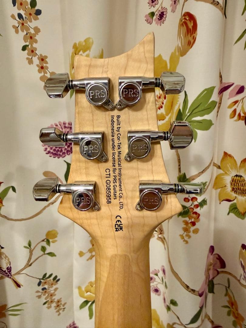 ギター se swamp ash special prs Paul Reed Smith