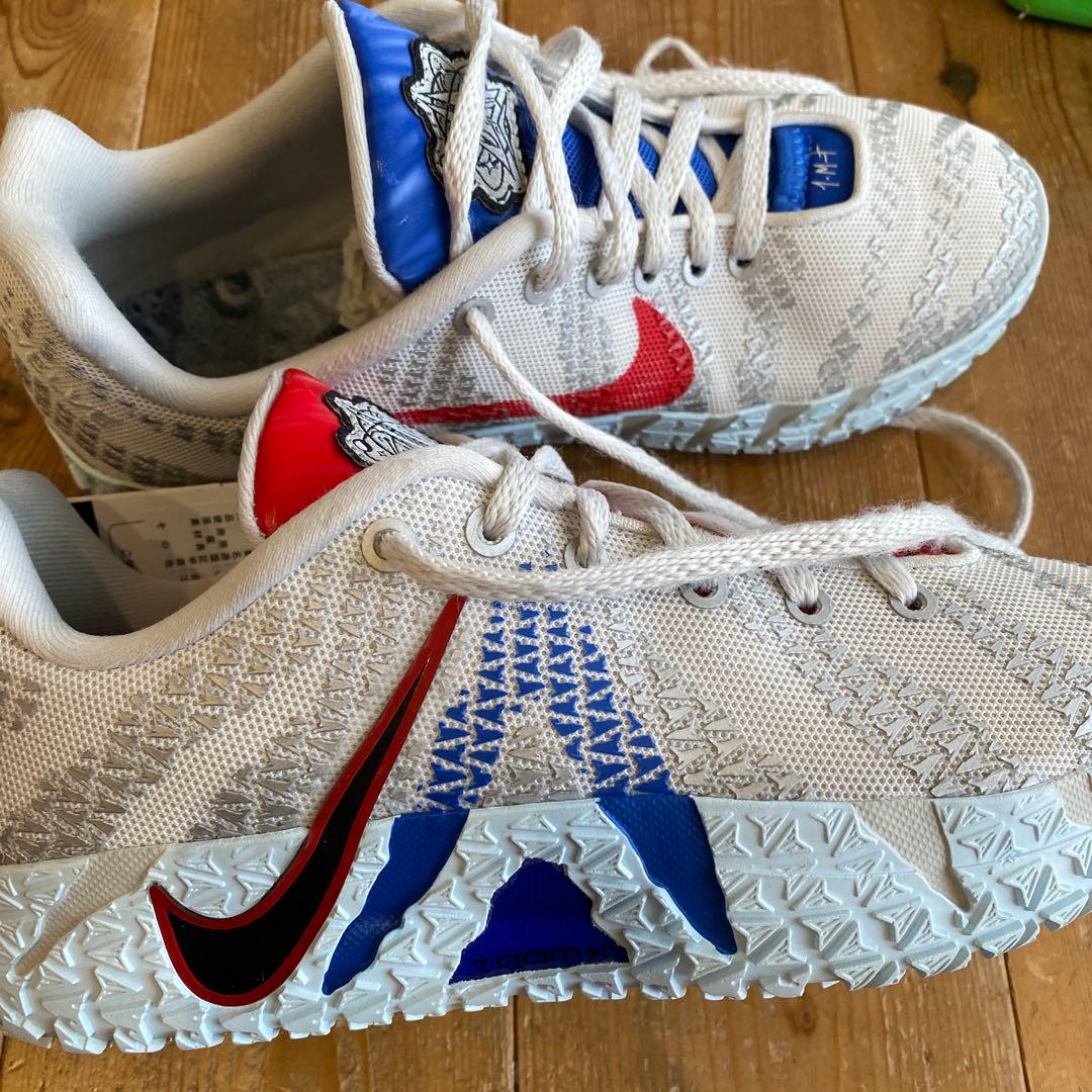 シューズ(男性用) NIKE JA3 SE Outer Space 23.5cm