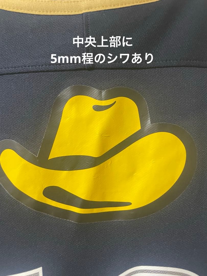鹿島アントラーズ　12番　2016-17年優勝記念モデル　1回着用のみ