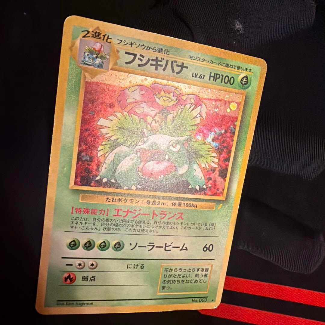 旧裏　フシギバナ（Venusaur）　とりかえっこプリーズ　PROMO ポケモン