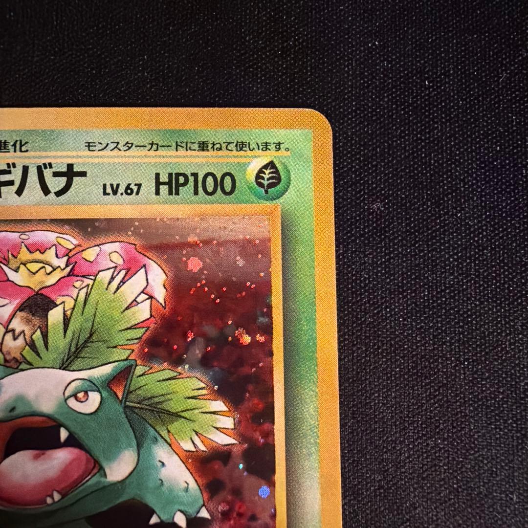 旧裏　フシギバナ（Venusaur）　とりかえっこプリーズ　PROMO ポケモン