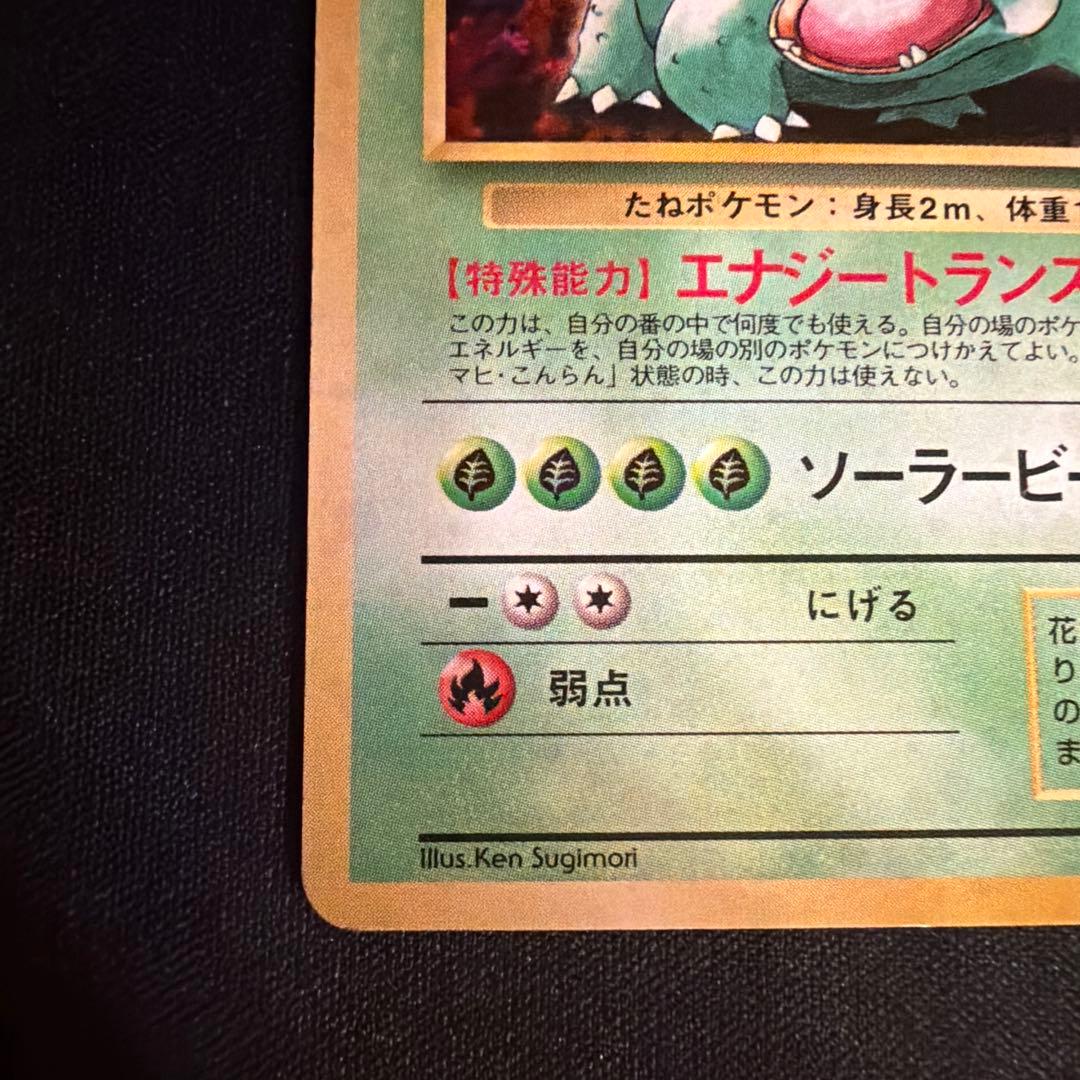 旧裏　フシギバナ（Venusaur）　とりかえっこプリーズ　PROMO ポケモン