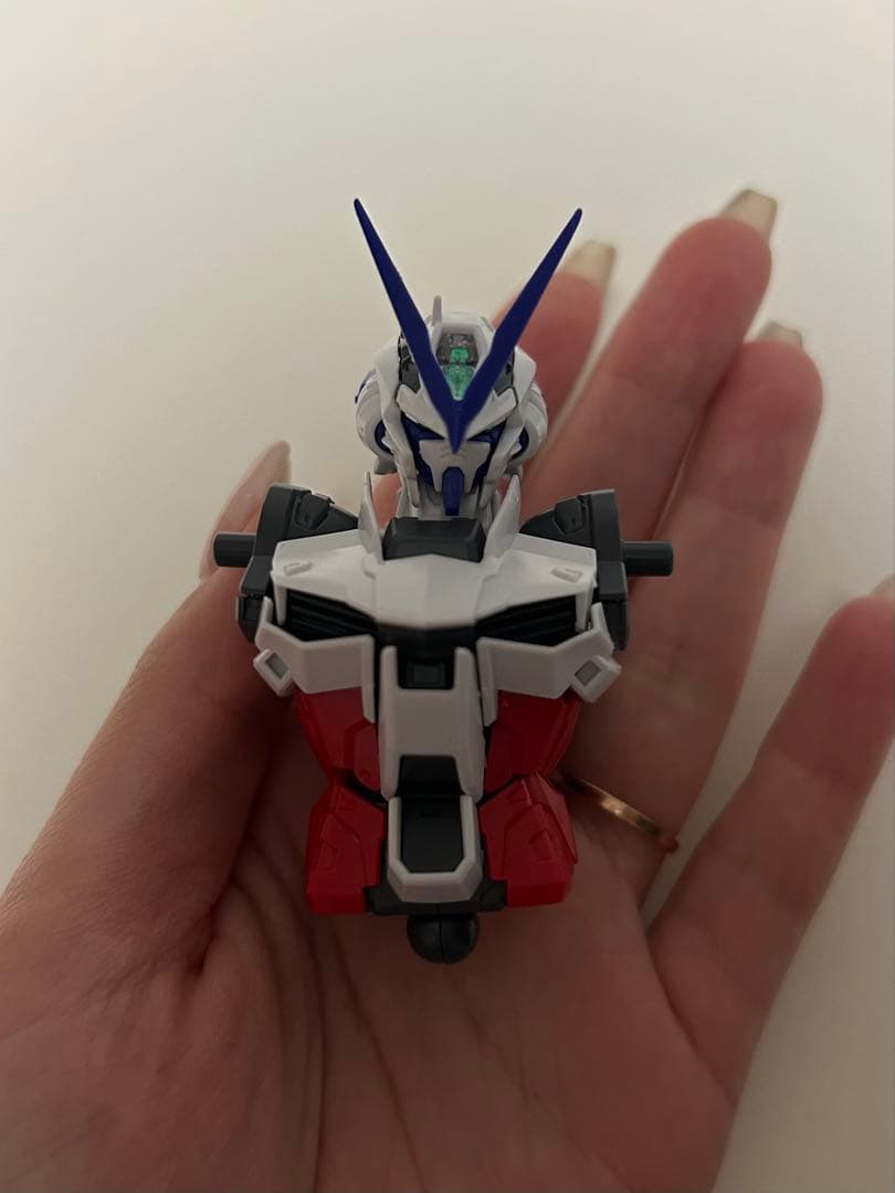 ガンダムアストレイ MG 【韓国限定版】