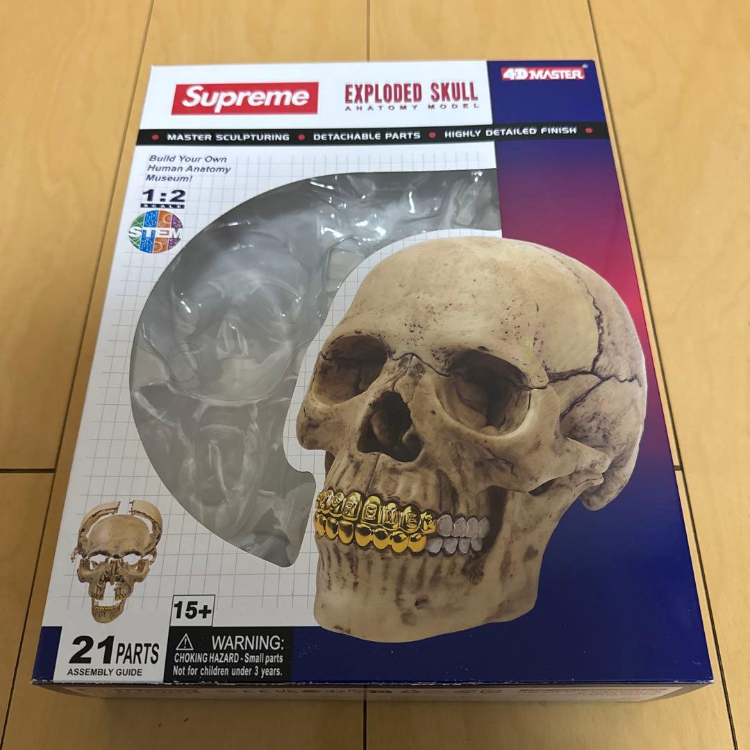 supreme 4d model human skull シュプリーム スカル
