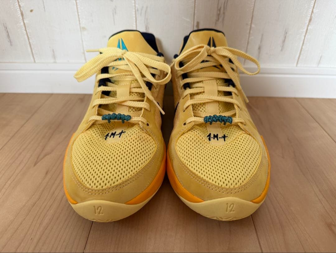 シューズ(男性用) NIKE JA 2 EP 27cm