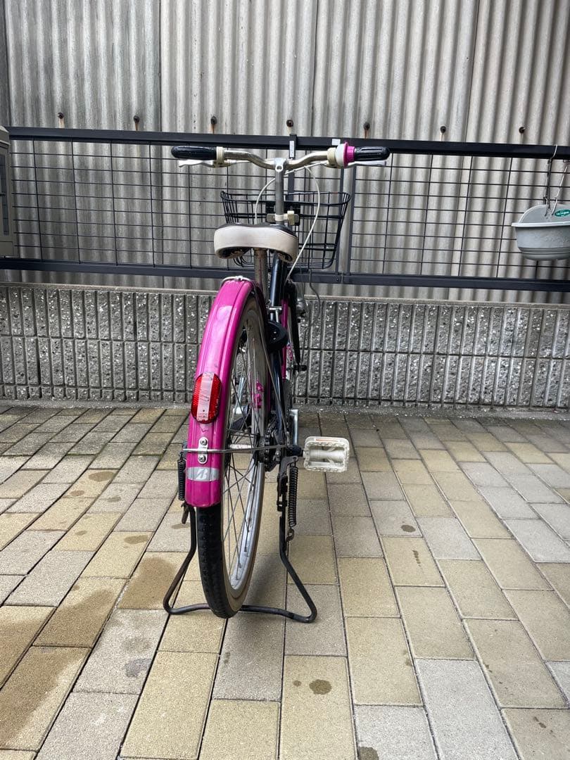 BRIDGESTONE Wild Berry ブリヂストンワイルドベリー