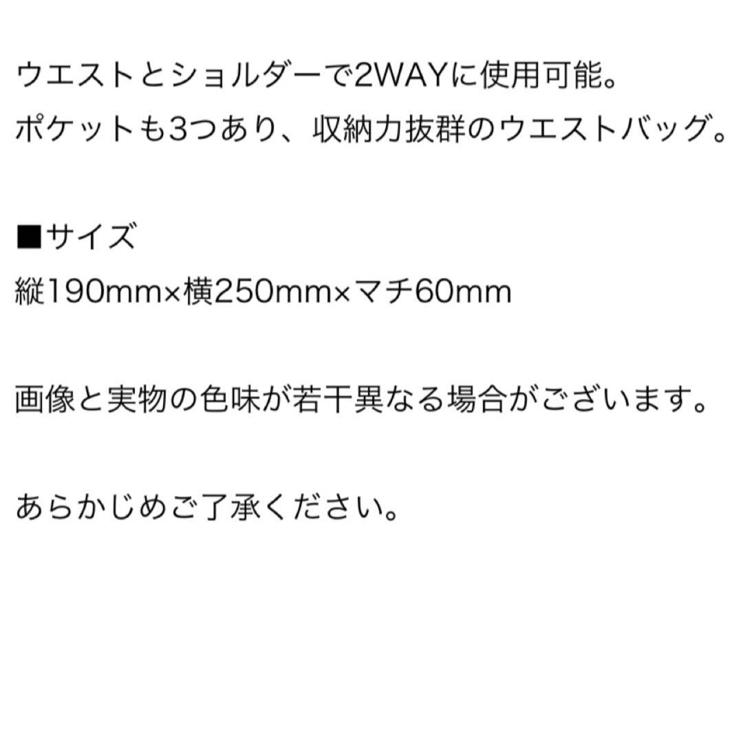 サカナクション　ウエストバッグ　新品　未使用　未開封　ショルダーバッグ　山口一郎