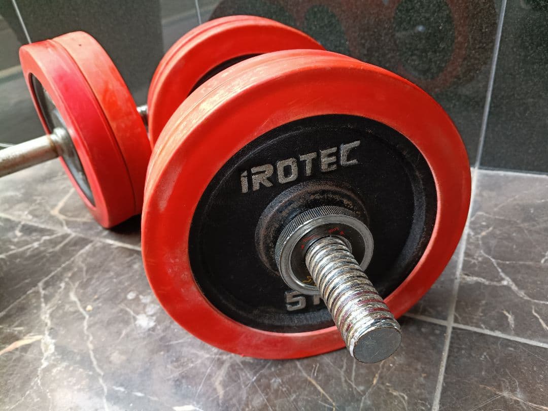 ファイティングロード プレート5kg×8 2.5kg×4 ダンベル 計55kg