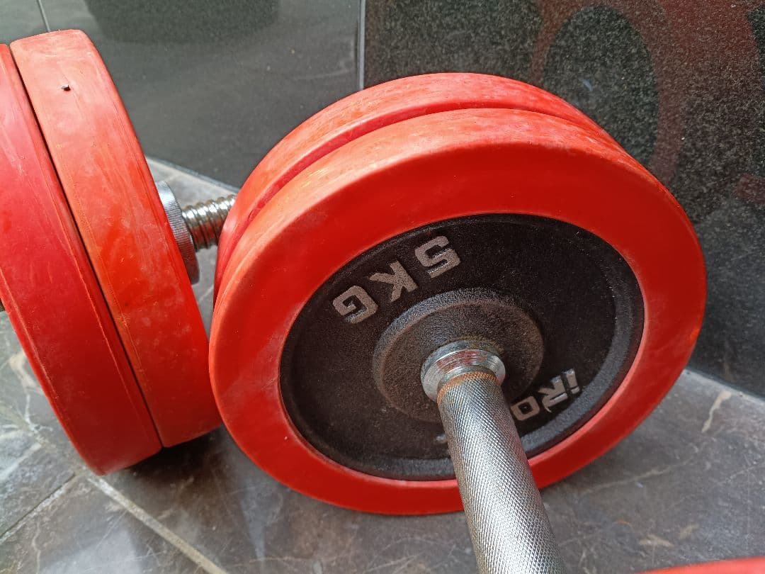ファイティングロード プレート5kg×8 2.5kg×4 ダンベル 計55kg