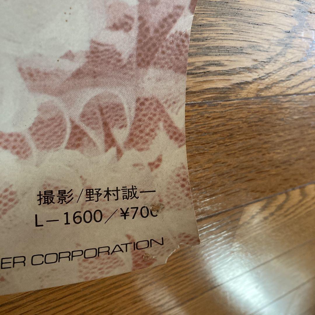 中森明菜　スローモーション　サイン入りポスター