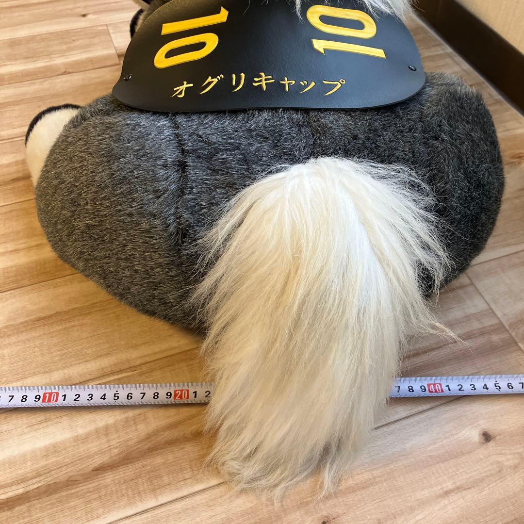 オグリキャップ　馬のぬいぐるみ 約55cm