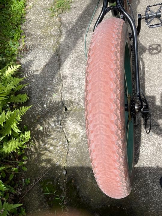 自転車本体 Momentum