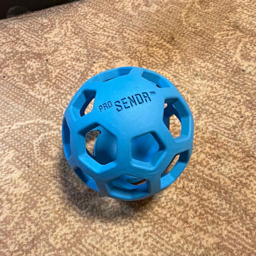 ProSENDR プロセンダー 正規品 ゴルフ スイング練習器具 右利き