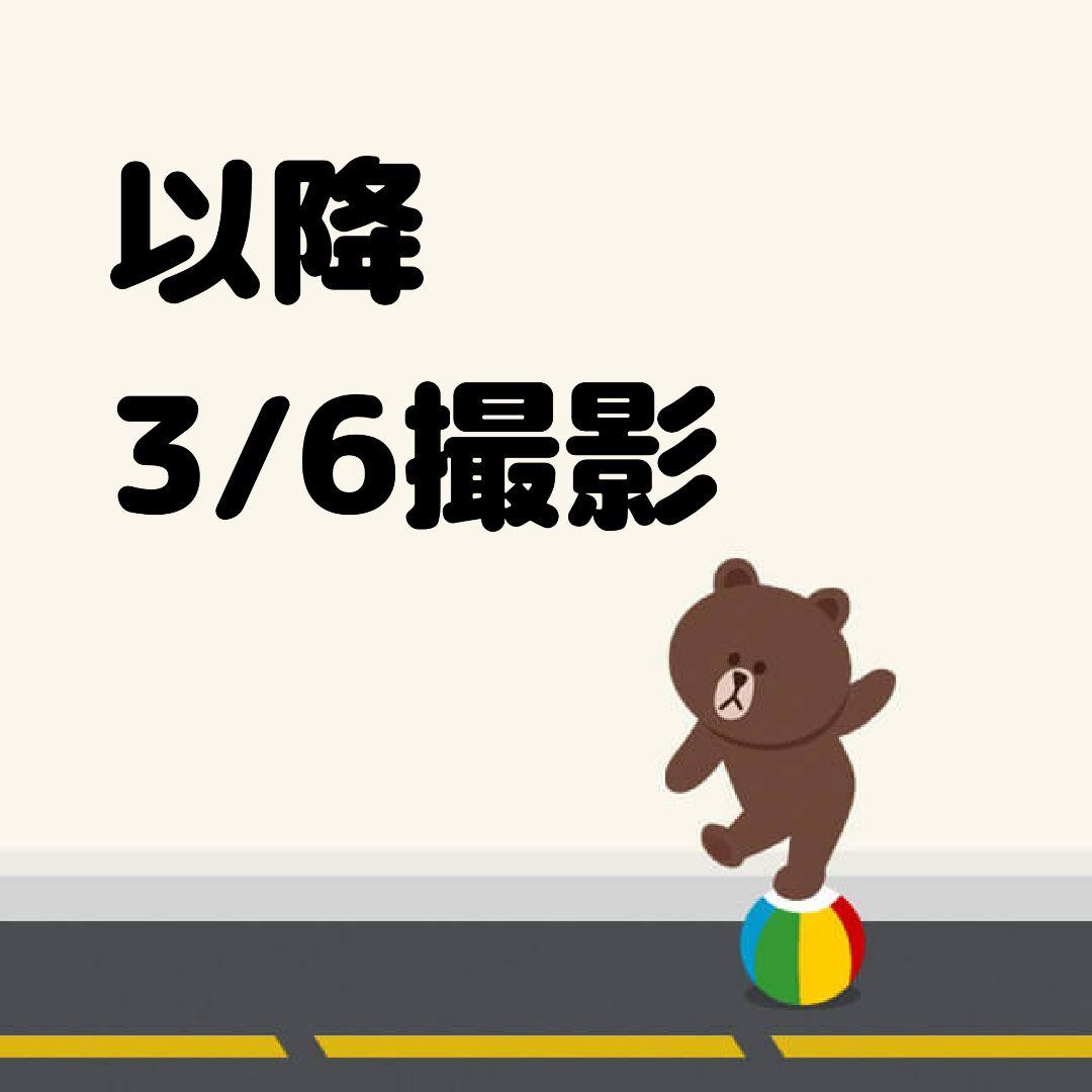 ビカクシダ①