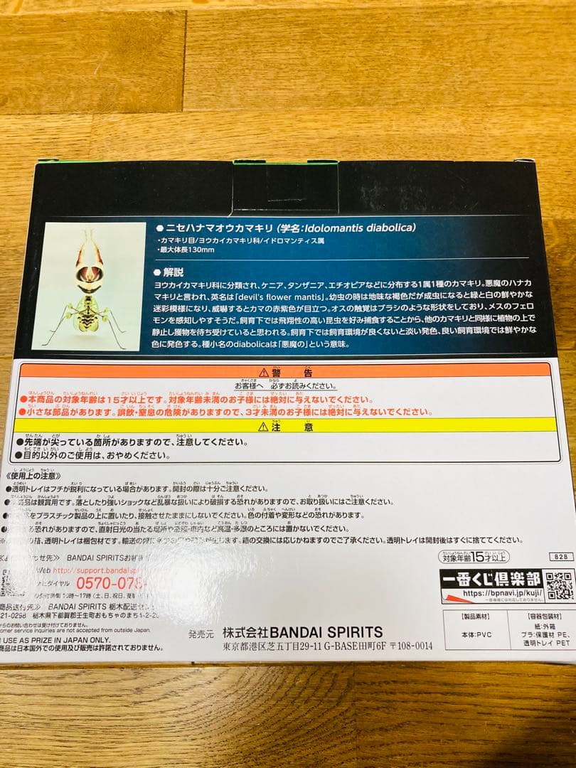 水曜セール【新品未開封】一番くじ昆虫 世界の昆虫だいしゅうごう！ コンプセット